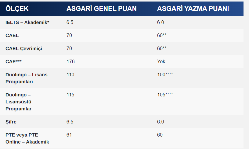 Üniversite dil skorları